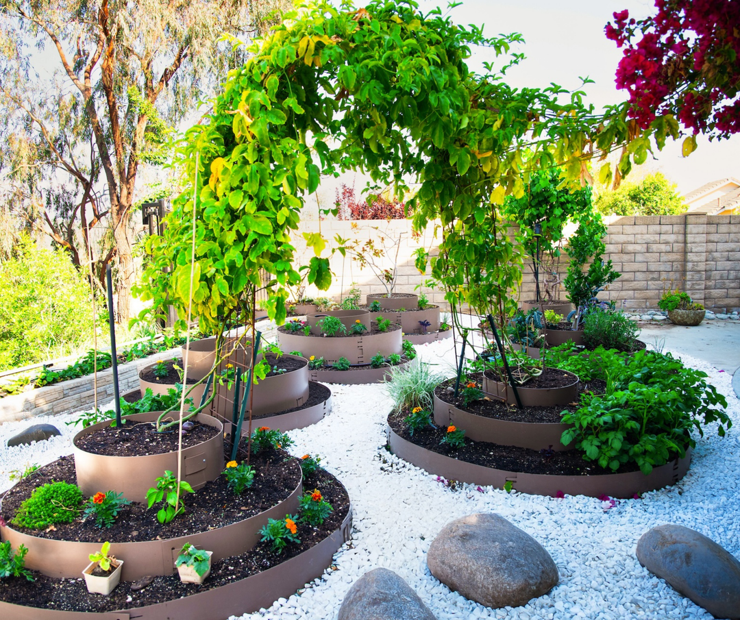 🌿 Introducing the HARVEST LOCKER™: A Game-Changer in Raised Bed Gardening