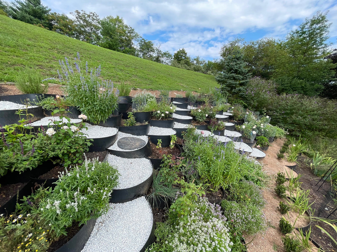 Transform Your Spring Garden: How Terracing with Dirt Locker Can Solve Common Landscaping Problems