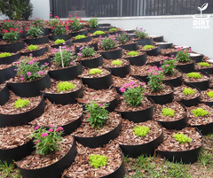 Examples Installations