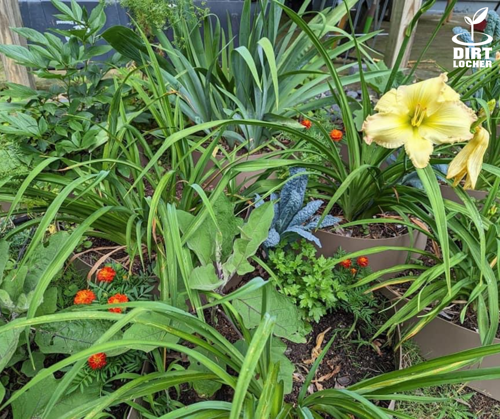 Examples Installations