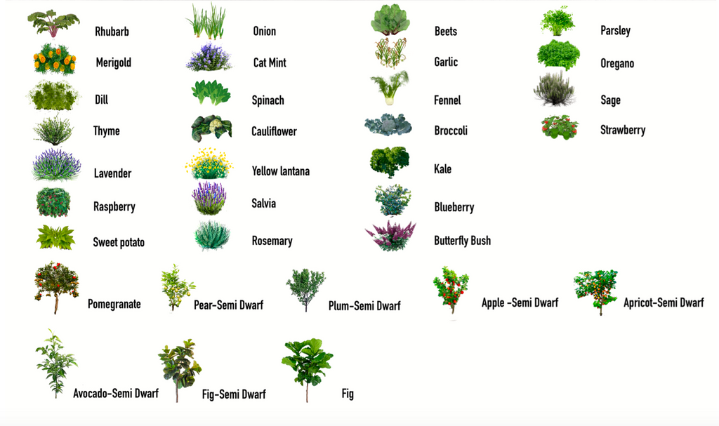 Examples Installations