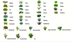 Examples Installations