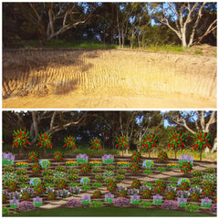 Examples Installations