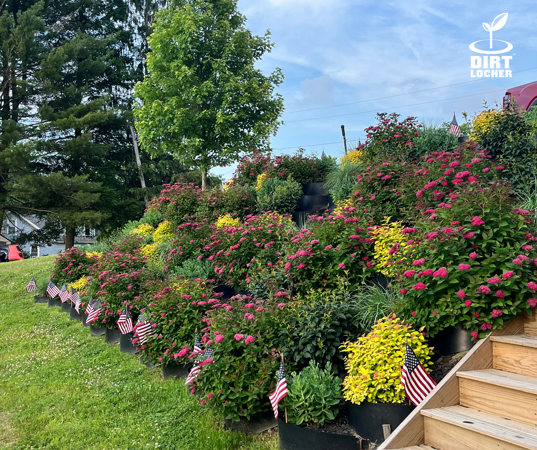 Examples Installations