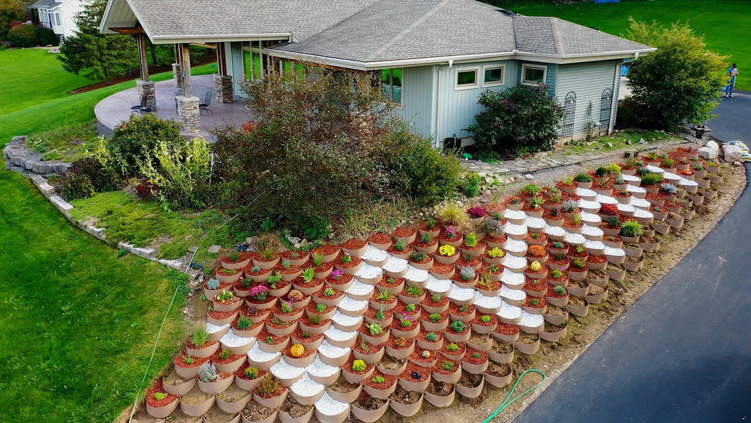 Easy to Grow Vegetables and Fruits at Home - Featuring the Dirt Locker System