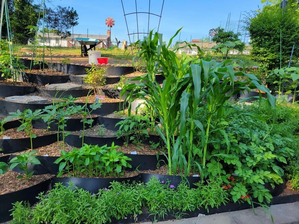 Dirt Lockers and Permaculture: Enhance Your Landscape with the Ultimate Solution for Erosion Control and Sustainable Gardening