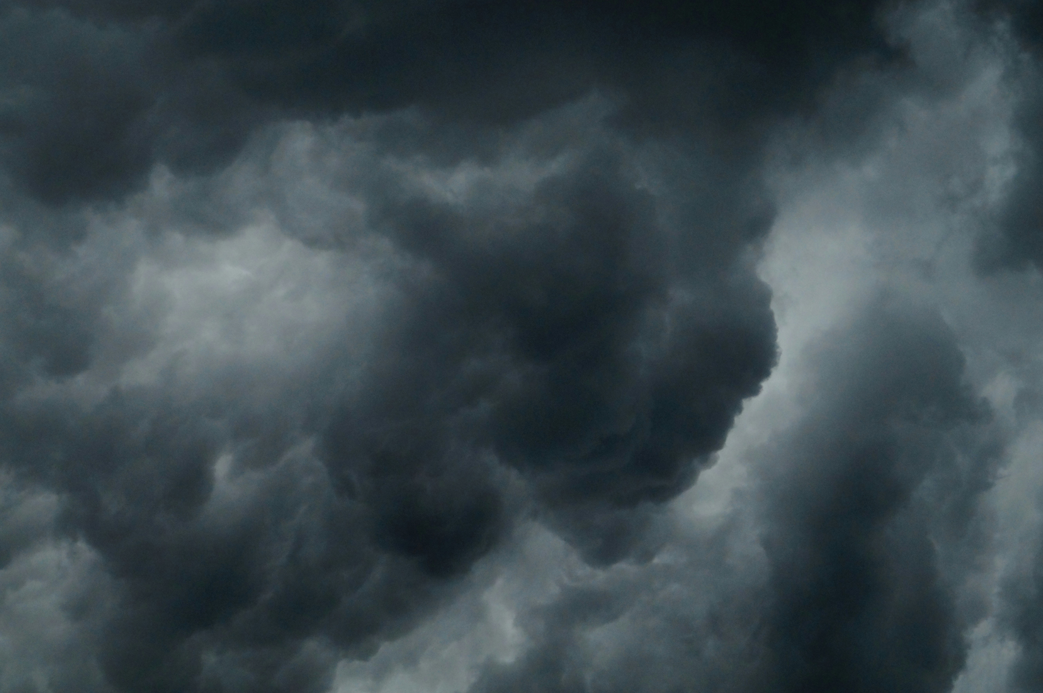 How to Prepare Your Hillside for a Historically Strong El Nino Winter