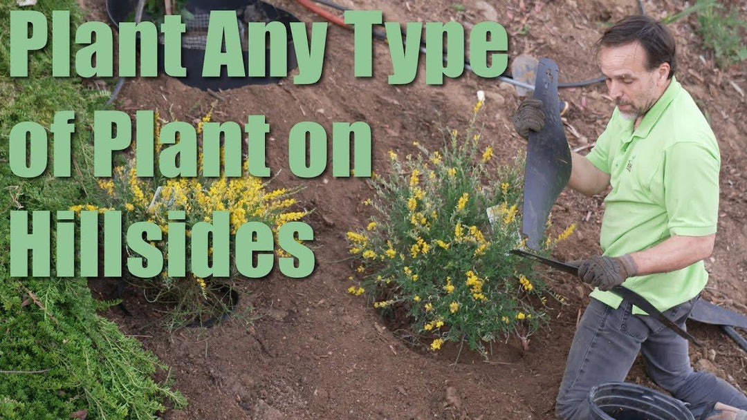 How To Landscape a Steep Hillside Without Retaining Walls!
