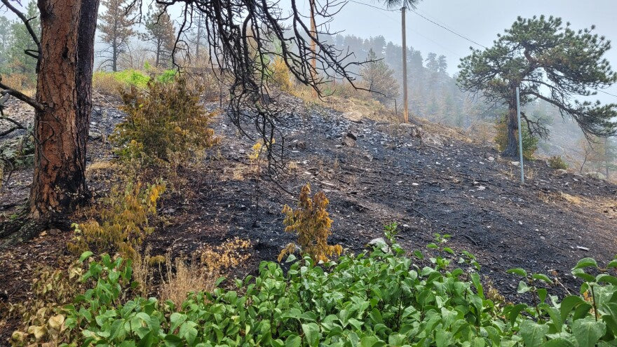 Dirt Locker® Hillside Planters: A Green Solution for California's Burn Scars