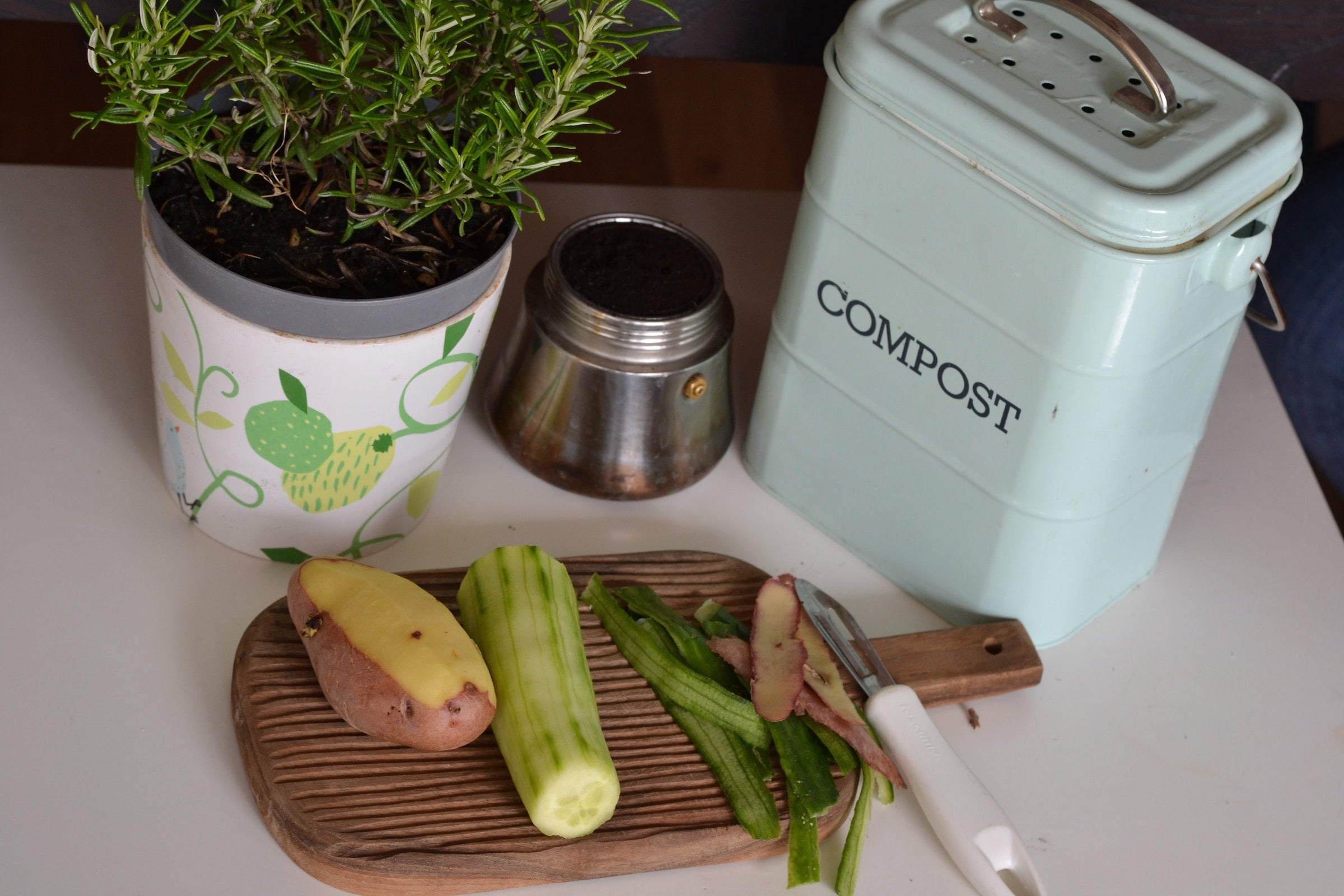 Cuida el medio ambiente con tu propia compostadora en el jardín