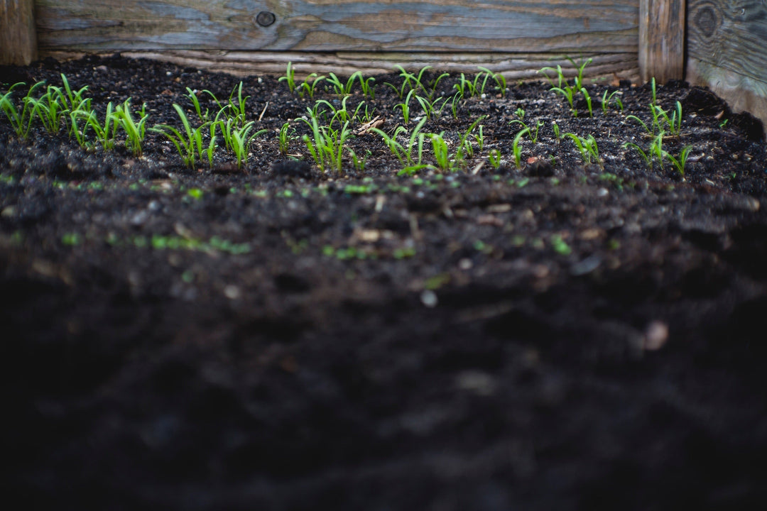The Top 6 Erosion Control Systems in 2024