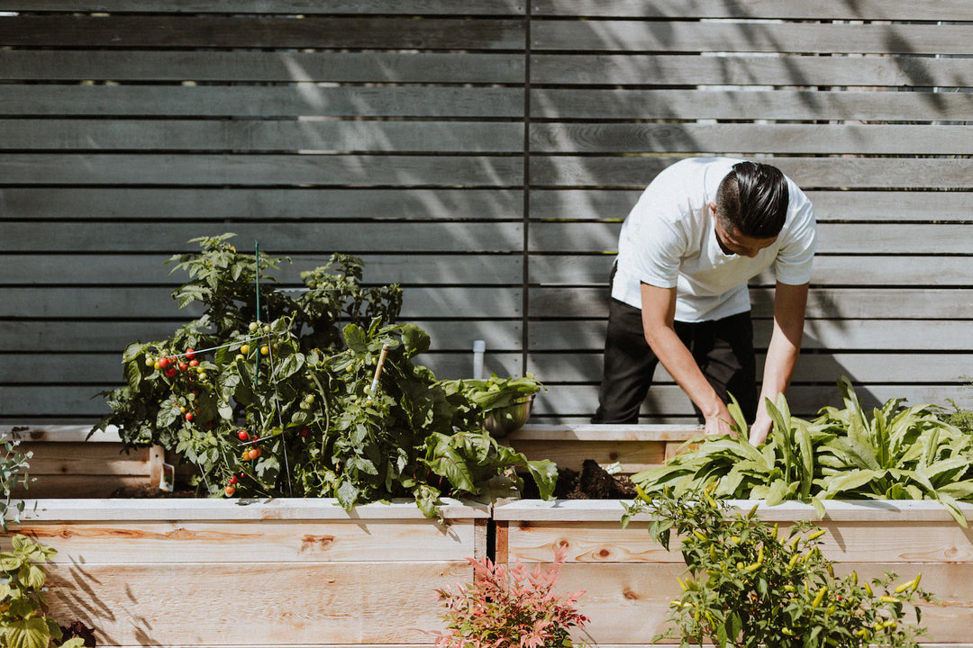 10 Ingenious DIY Tips for the Gardener Who Wants to Go Green