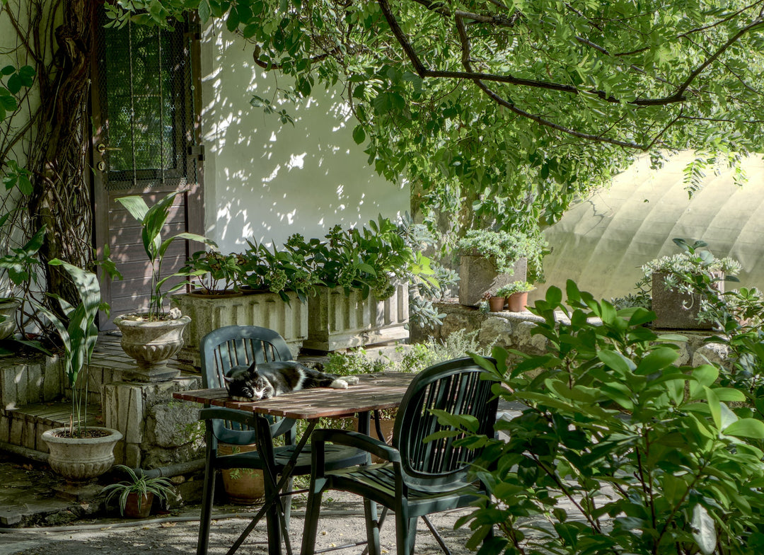 The Ultimate Guide to Creating a Green Living Space in Your Spring Garden