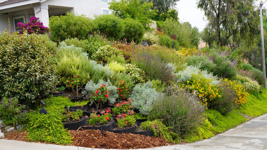 Hillside Landscape Ideas and Solutions