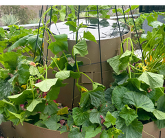 HARVEST LOCKER™ - <br> Compost Kit