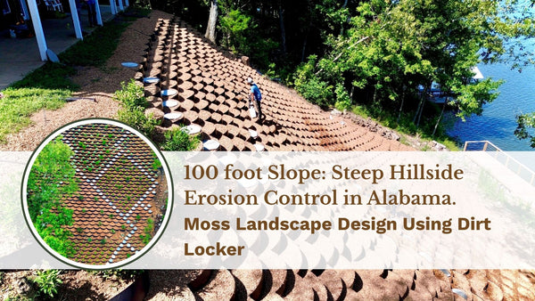 100 foot Slope: Steep Hillside Erosion Control in Alabama | Moss Landscape Design Using Dirt Locker