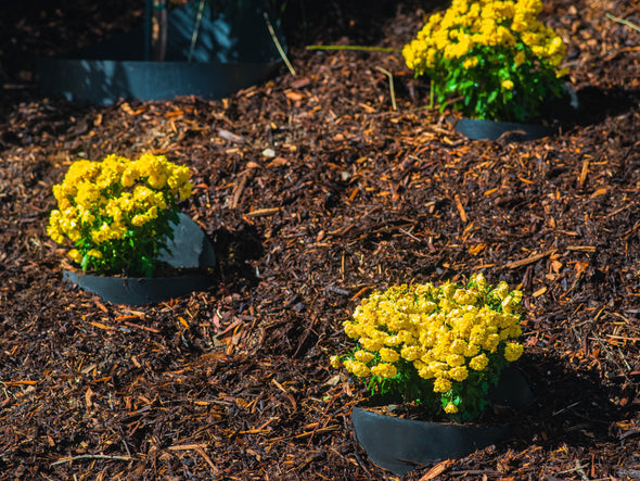 DIRT LOCKER® MINI: Hillside Ornamental Gardening