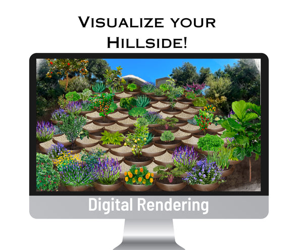 Planos de jardín de terraza: renderizado digital