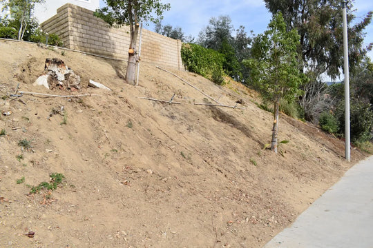 Dirt hill with a concrete wall and trees in the background