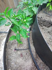 HARVEST LOCKER™ Irrigation Kit