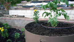 HARVEST LOCKER™ Irrigation Kit