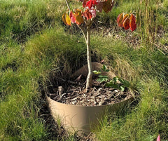 ANILLO Dirt Locker®