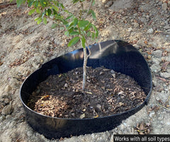 ANILLO Dirt Locker®