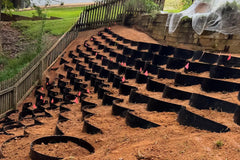 DIRT LOCKER®  Mild  Slope  Detached