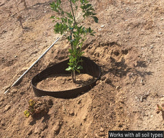 ANILLO Dirt Locker®