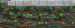 Terrace Garden Plans: Digital Rendering
