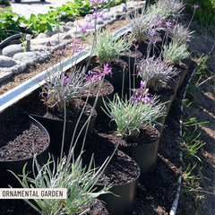 DIRT LOCKER® MINI: (NOW INCLUDES GARDEN PINS - NO J HOOKS NEEDED)