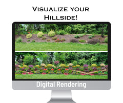 Terrace Garden Plans: Digital Rendering