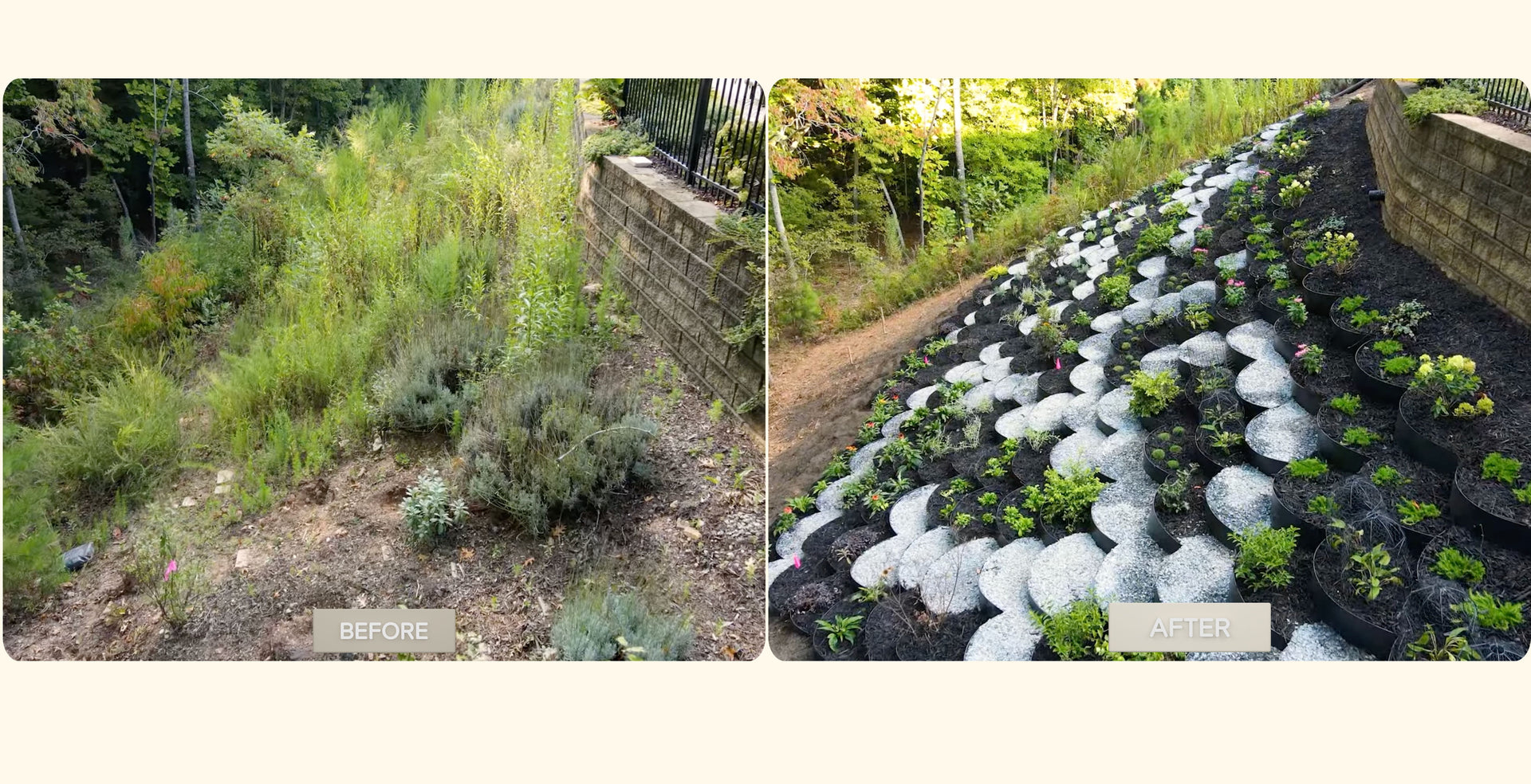 Dirt Locker hillside garden showcase