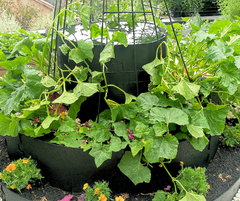 HARVEST LOCKER™ - <br> Compost Kit